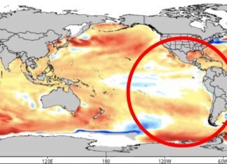 Crisis climática en Colombia (fenómeno del niño)