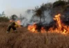 Emergencia ambiental en Colombia: Más de 340 municipios en alerta roja por incendios forestales