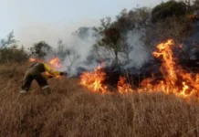 Emergencia ambiental en Colombia: Más de 340 municipios en alerta roja por incendios forestales